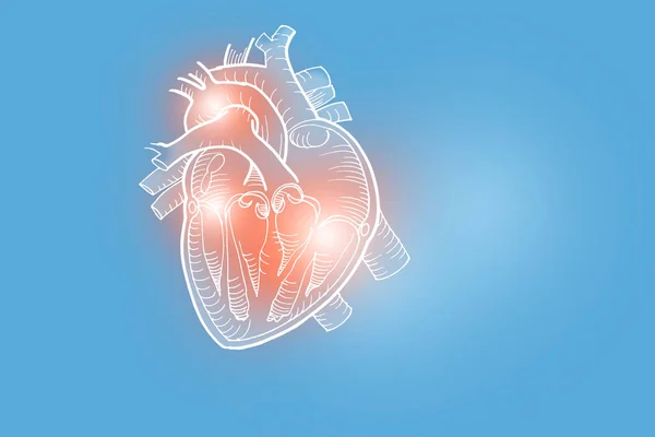 Handrawn Illustration Human Heart Light Blue Background Medical Science Set — Stock Photo, Image