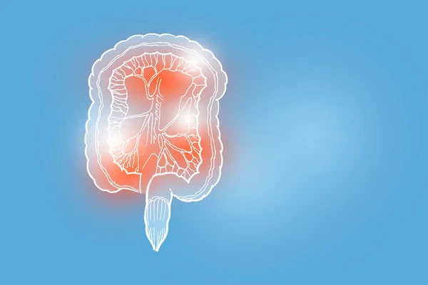 Handrawn Illustration Human Intestine Light Blue Background Medical Science Set — Stock Photo, Image