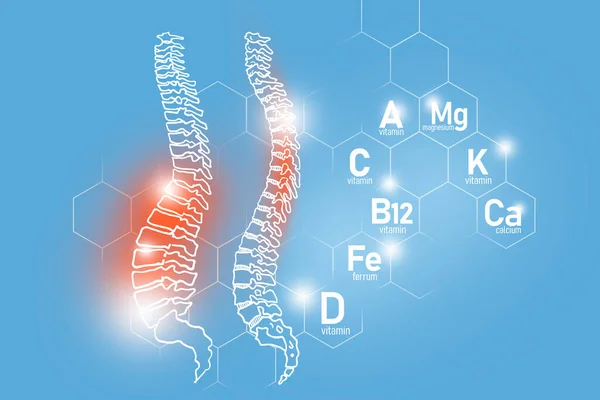 包括镁 维生素B12 铁在内的对脊柱健康至关重要的营养素 设计一套带有分子网格 微营养素和浅蓝色背景维生素的主要人体器官 — 图库照片