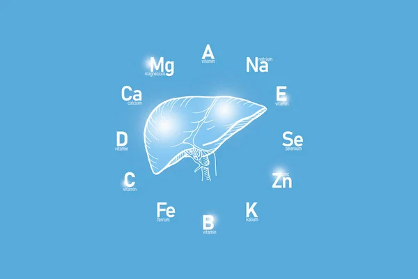 人間の健康のための不可欠なビタミンや微量元素を持つスタイルの時計型の顔 手は人間の肝臓 ライトブルーの背景を描きました 主な臓器や医療のコンセプトデザインのモックアップのデトックス — ストック写真