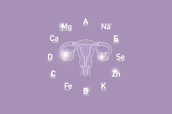 Stylized clockface with essential vitamins and microelements for human health, hand drawn human Uterus, lilac background. Detox of main organs and healthcare concept design mockup.