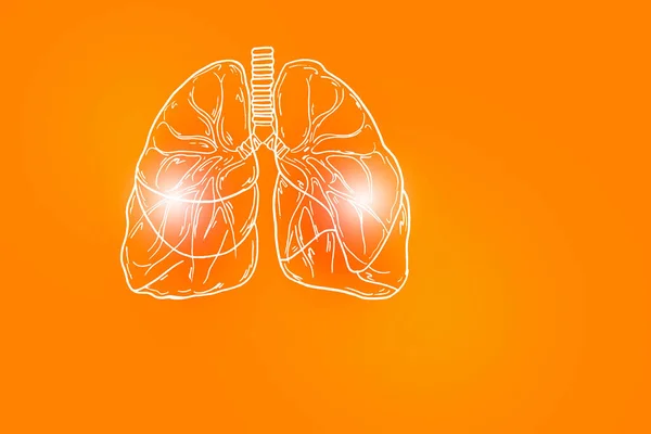 Ilustración Hecha Mano Pulmones Humanos Sobre Fondo Naranja Positivo Médico — Foto de Stock