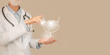 Sanal Mesane 'yi elinde tutan kadın doktor. El yapımı insan organı, sağ tarafta kopyalama alanı, bej rengi. Sağlık hizmeti hastane konsepti stok fotoğrafı