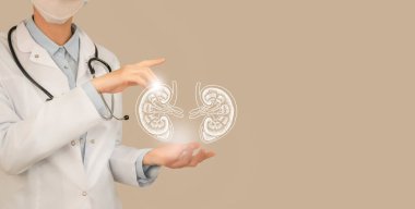 Sanal böbrekleri elinde tutan kadın bir doktor. El yapımı insan organı, sağ tarafta kopyalama alanı, bej rengi. Sağlık hizmeti hastane konsepti stok fotoğrafı