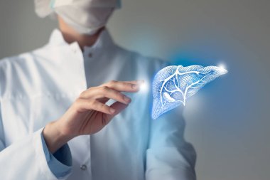 Female doctor touches virtual Liver in hand. Blurred photo, handrawn human organ, highlighted blue as symbol of recovery. Healthcare hospital service concept stock photo clipart