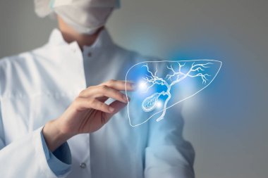 Female doctor touches virtual Gall Bladder in hand. Blurred photo, handrawn human organ, highlighted blue as symbol of recovery. Healthcare hospital service concept stock photo clipart