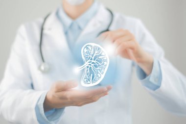 Kadın doktor elinde dalak çiziminin kabataslak resmini tutuyor. El yapımı insan organı, ham fotoğraf renkleri. Sağlık hizmetleri hastanesi konsepti.