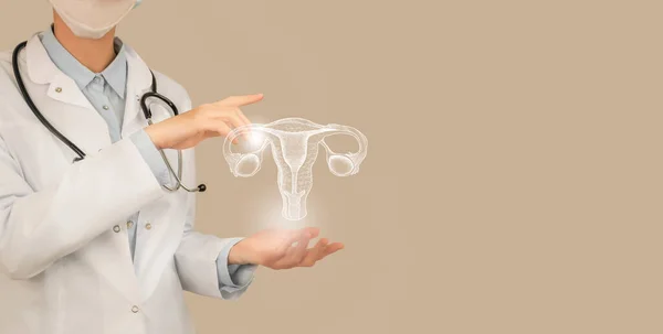 Female Doctor Holding Virtual Uterus Hand Handrawn Human Organ Copy — Stock Photo, Image