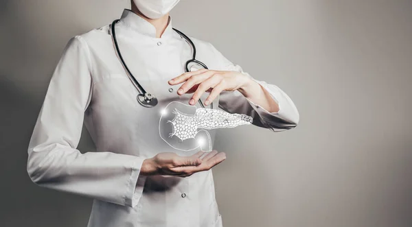 Médica Feminina Segurando Pâncreas Virtual Mão Órgão Humano Handrawn Espaço — Fotografia de Stock