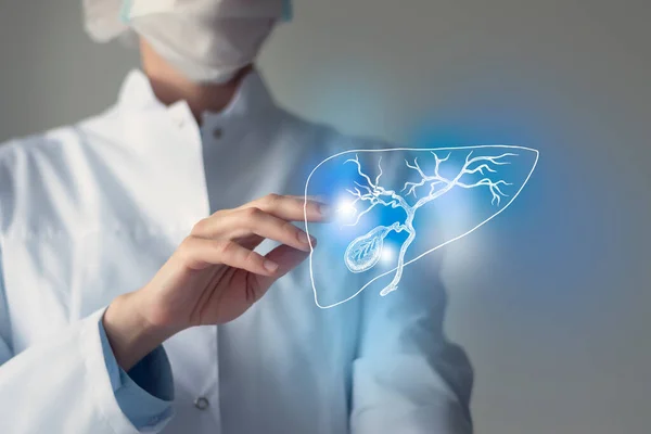 Kadın doktor elindeki safra kesesine dokunuyor. Bulanık fotoğraf, el yapımı insan organı, iyileşmenin sembolü olarak mavi işaretli. Sağlık hizmeti hastane konsepti stok fotoğrafı