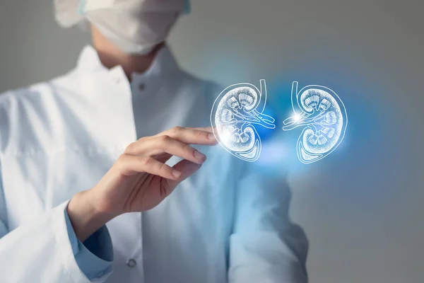 Female Doctor Touches Virtual Kidneys Hand Blurred Photo Handrawn Human — Stock Photo, Image