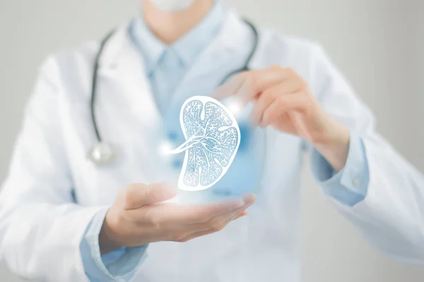 Medico Femminile Che Tiene Mano Disegno Virtuale Abbozzato Della Milza — Foto Stock