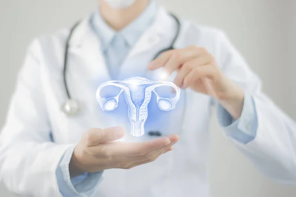 Sanal rahmi elinde tutan kadın doktor. El yapımı insan organı, bulanık fotoğraf, ham renkler. Sağlık hizmeti hastane konsepti stok fotoğrafı