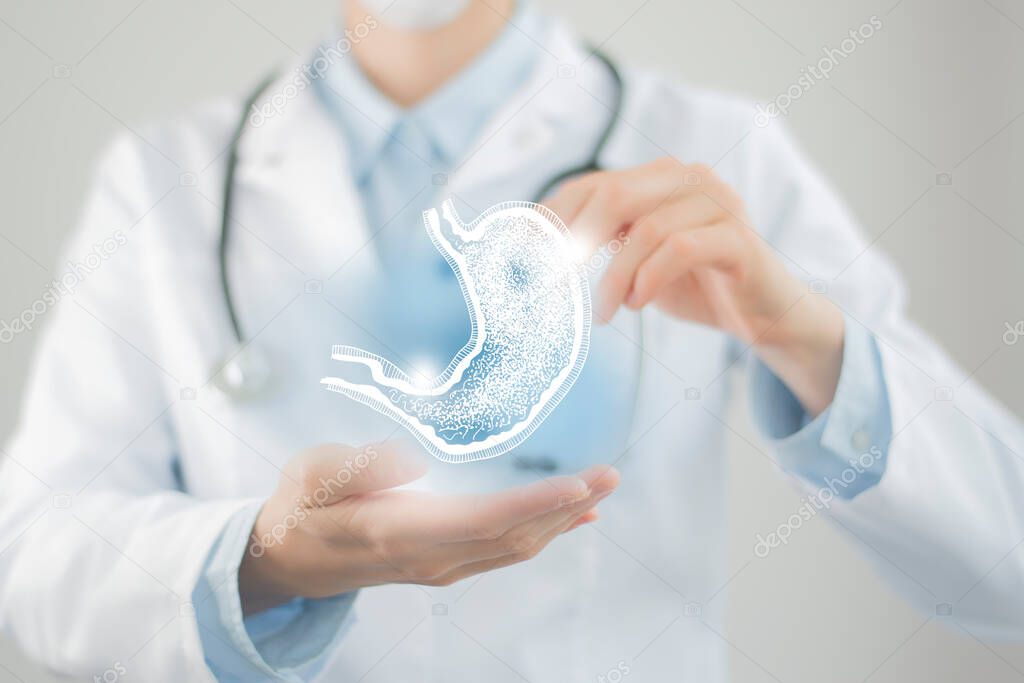 Female doctor holding virtual Stomach in hand. Handrawn human organ, blurred photo, raw colors. Healthcare hospital service concept stock photo