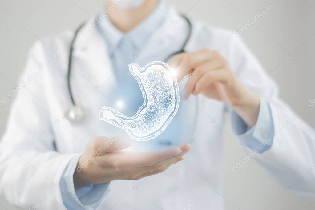 Female doctor holding virtual Stomach in hand. Handrawn human organ, blurred photo, raw colors. Healthcare hospital service concept stock photo