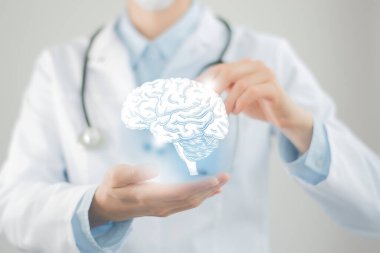 Kadın doktor elinde Brain 'in sanal hacimli çizimlerini tutuyor. El yapımı insan organı, sağ tarafta kopyalama alanı, ham fotoğraf renkleri. Sağlık hizmeti hastane konsepti stok fotoğrafı
