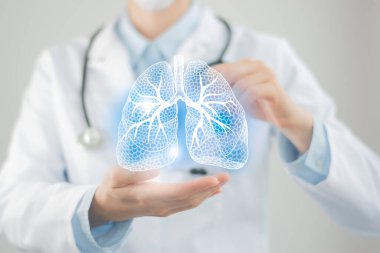 Sanal akciğerleri elinde tutan kadın doktor. El yapımı insan organı, sağ tarafta kopyalama alanı, ham fotoğraf renkleri. Sağlık hizmeti hastane konsepti stok fotoğrafı