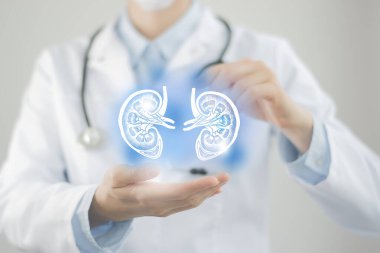Sanal böbrekleri elinde tutan kadın bir doktor. El yapımı insan organı, bulanık fotoğraf, ham renkler. Sağlık hizmeti hastane konsepti stok fotoğrafı