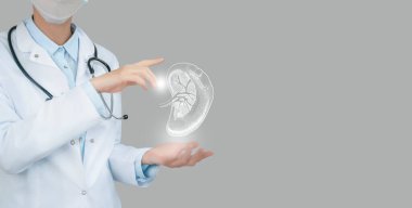 Female doctor holding virtual volumetric drawing of spleen in hand. Handrawn human organ, copy space on right side, raw photo colors. Healthcare hospital service concept stock phot clipart