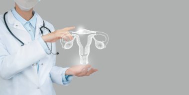 Female doctor holding virtual Uterus in hand. Handrawn human organ, copy space on right side, raw photo colors. Healthcare hospital service concept stock photo clipart