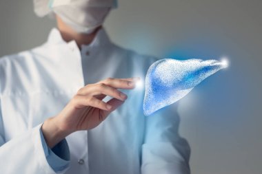 Kadın doktor elinde sanal karaciğere dokunuyor. Bulanık fotoğraf, el yapımı insan organı, iyileşmenin sembolü olarak mavi işaretli. Sağlık hizmeti hastane konsepti stok fotoğrafı
