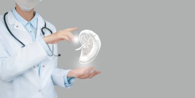 Female doctor holding virtual volumetric drawing of spleen in hand. Handrawn human organ, copy space on right side, raw photo colors. Healthcare hospital service concept stock phot clipart