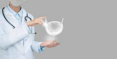 Sanal Mesane 'yi elinde tutan kadın doktor. El yapımı insan organı, sağ tarafta kopyalama alanı, ham fotoğraf renkleri. Sağlık hizmeti hastane konsepti stok fotoğrafı