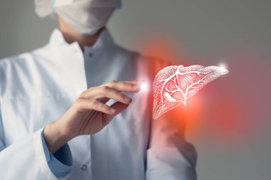 Kadın doktor elinde sanal karaciğere dokunuyor. Bulanık fotoğraf, el yapımı insan organı, hastalığın sembolü olarak kırmızıya boyanmış. Sağlık hizmeti hastane konsepti stok fotoğrafı