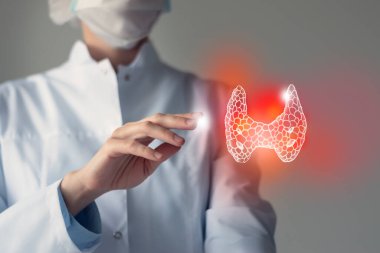 Kadın doktor elinde sanal tiroid bezine dokunuyor. Bulanık fotoğraf, el yapımı insan organı, hastalığın sembolü olarak kırmızıya boyanmış. Sağlık hizmeti hastane konsepti stok fotoğrafı