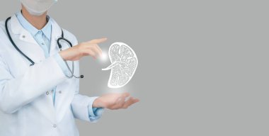 Kadın doktor elinde dalak çiziminin kabataslak resmini tutuyor. El yapımı insan organı, sağ tarafta kopyalama alanı, ham fotoğraf renkleri. Sağlık hizmetleri hastanesi konsepti.
