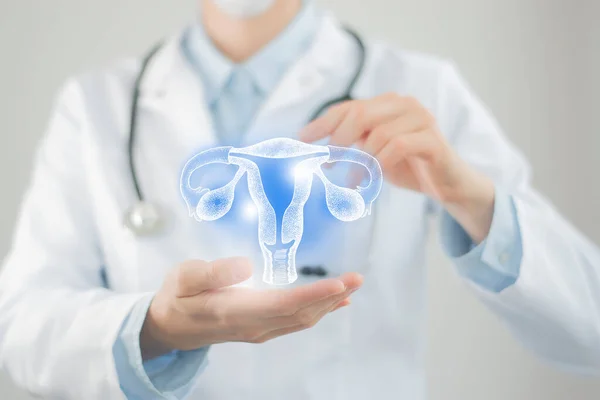 Médica Feminina Segurando Uterus Virtual Mão Órgão Humano Handrawn Foto — Fotografia de Stock