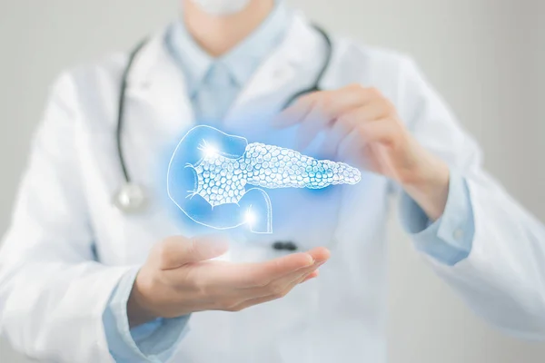 Female Doctor Holding Virtual Pancreas Hand Handrawn Human Organ Raw — Stock Photo, Image