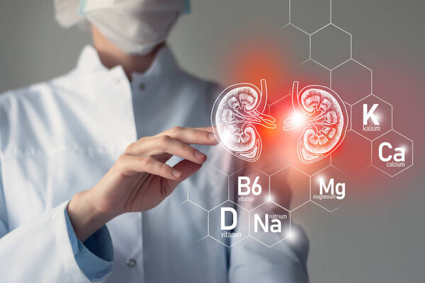  Essential nutrients for Kidneys health including Natrium, Magnesium, Vitamin B6, Calcium. Blurred portrait of doctor holding highlighted red Kidneys.