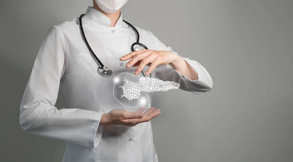 Dokter Wanita Memegang Pancreas Virtual Tangan Organ Tubuh Manusia Salinan — Stok Foto