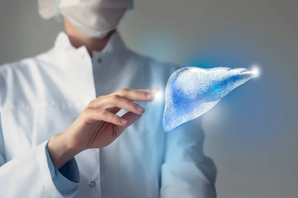 Female doctor touches virtual Liver in hand. Blurred photo, handrawn human organ, highlighted blue as symbol of recovery. Healthcare hospital service concept stock photo