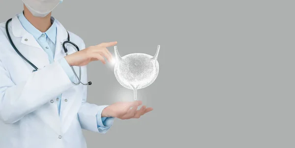 Médica Feminina Segurando Bexiga Virtual Mão Órgão Humano Handrawn Espaço — Fotografia de Stock