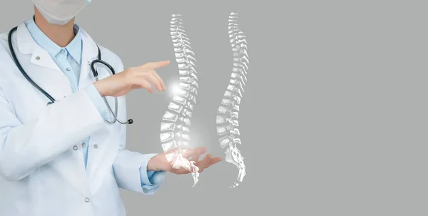 Sanal omurgayı elinde tutan kadın doktor. El yapımı insan organı, sağ tarafta kopyalama alanı, ham fotoğraf renkleri. Sağlık hizmeti hastane konsepti stok fotoğrafı
