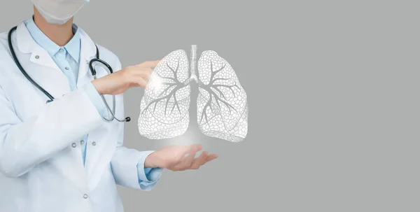 Doctora Sosteniendo Pulmones Virtuales Mano Órgano Humano Dibujado Mano Espacio — Foto de Stock