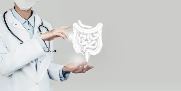 Dokter Wanita Memegang Usus Virtual Tangan Organ Tubuh Manusia Salinan — Stok Foto