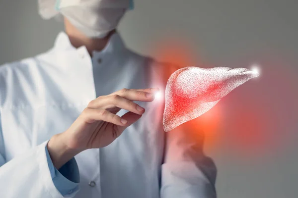 Female Doctor Touches Virtual Liver Hand Blurred Photo Handrawn Human — Stockfoto