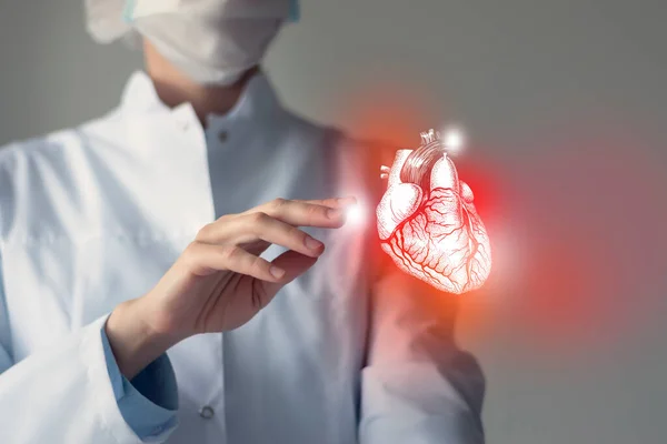 Kadın doktor mihenk taşı sanal kalp elinde. Bulanık fotoğraf, el yapımı insan organı, hastalığın sembolü olarak kırmızıya boyanmış. Sağlık hizmeti hastane konsepti stok fotoğrafı