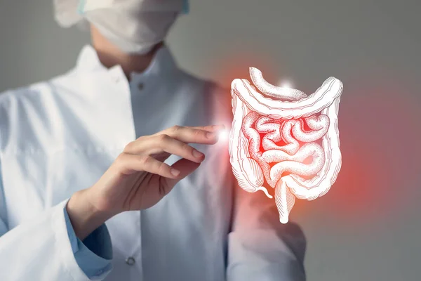 Female Doctor Holding Virtual Intestine Hand Handrawn Human Organ Blurred — Stock Photo, Image