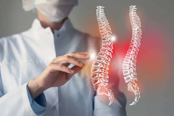 Dokter Perempuan Menyentuh Spine Virtual Tangan Foto Kabur Organ Manusia — Stok Foto