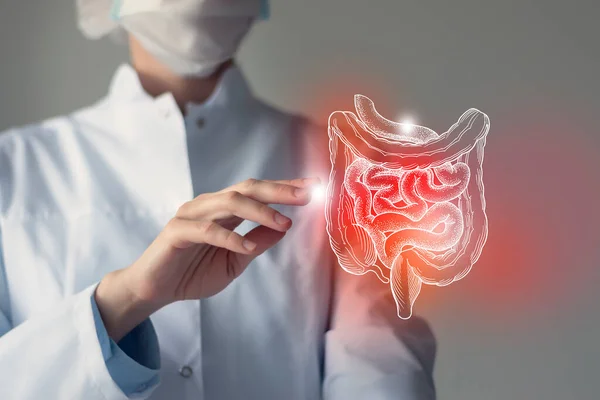 Ärztin Mit Virtuellem Darm Der Hand Handgemachtes Menschliches Organ Verschwommenes — Stockfoto