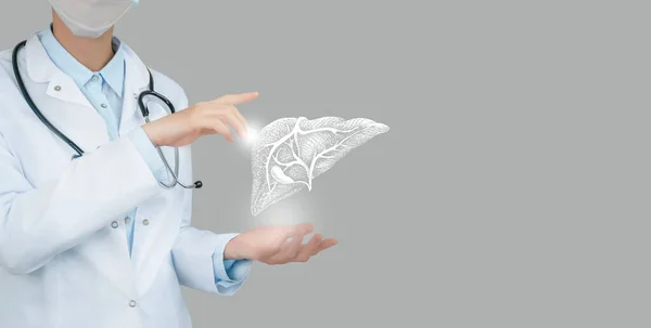 Female Doctor Holding Virtual Liver Hand Handrawn Human Organ Copy — Stock Photo, Image