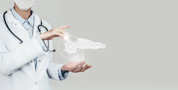 Ärztin Mit Virtueller Bauchspeicheldrüse Der Hand Handgemachtes Menschliches Organ Kopierraum lizenzfreie Stockbilder