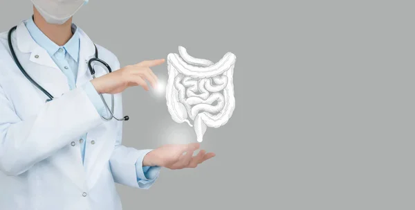 Doctora Sosteniendo Intestino Virtual Mano Órgano Humano Dibujado Mano Espacio Imagen De Stock