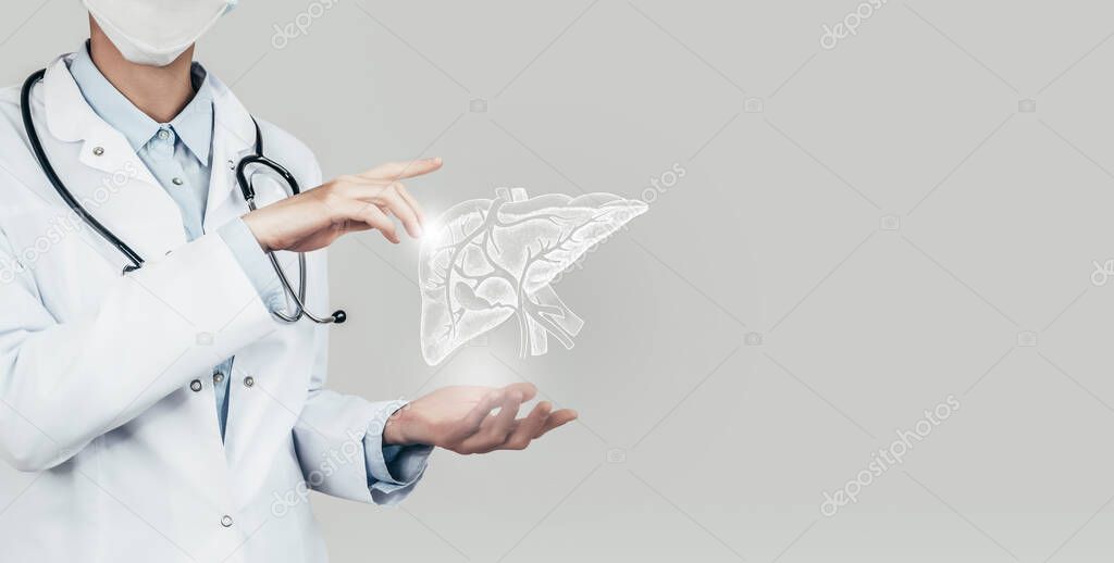 Female doctor holding virtual Liver in hand. Handrawn human organ, copy space on right side, grey hdr color. Healthcare / scientific technologies concept stock photo