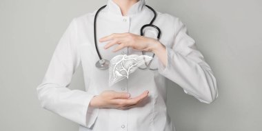 Karaciğer tıbbi bir konsept. Kadın doktorun fotoğrafı, boş alan.. 