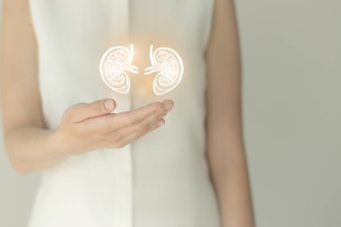 Beyaz elbiseli tanınmayan bir kadın hasta ellerinde çizilmiş böbrekleri var. İnsan böbrek sistemi kavramı.